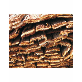 Wattle Faura f27101 Brown Fir Cable Tree Bark 1 x 3 m,,,