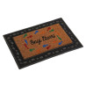 BB_S3410009