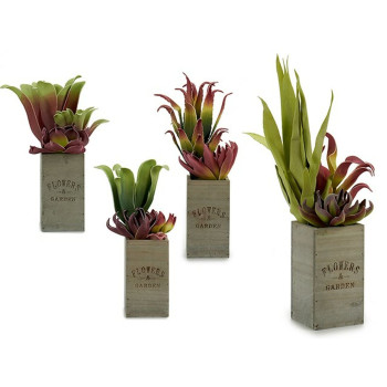 Dekoratyvinis augalas Ibergarden Flowers Garden 10 x 50 x 10 cm Ruda Žalia (4 vnt.),,,