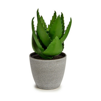 Dekoratiivne Taim Ibergarden YC184573 Plastmass Aloe vera 15 x 23,5 x 15 cm (6 Ühikut),,,
