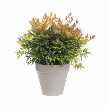 Stiklainis Elho   Apskritas Tamsiai pilka d 30 cm,,,