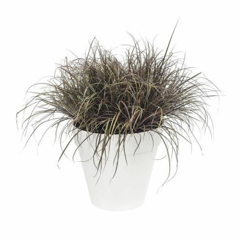 Pušķi Elho Loft Urban Apaļa Balts d 40 cm,,,