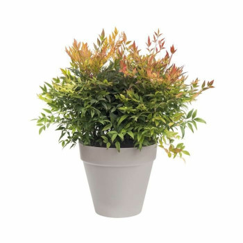 Stiklainis Elho Loft Urban Pilka Apskritas d 50 cm,,,