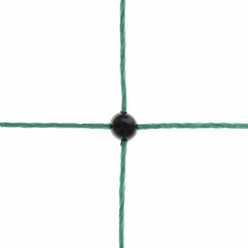 BB_S7175586