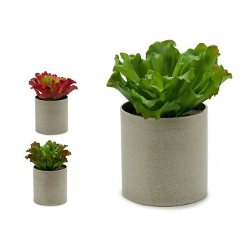 Decorative Plant Ibergarden YC181588 20 x 25 x 20 cm (6 Units),,,