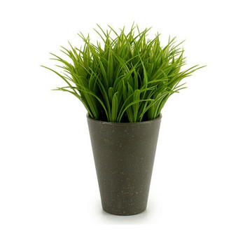 Dekoratyvinis augalas Ibergarden S18064 Plastmasinis 11 x 18 x 11 cm (12 vnt.),,,