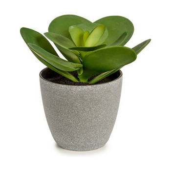 Decorative Plant Ibergarden YC184572 Plastic 18 x 18,5 x 18 cm (6 Units),,,