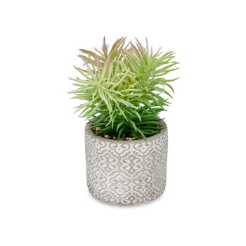 Dekoratyvinis augalas Ibergarden QY-H011 Medžio Plastmasinis Cementas Sultingi 12 x 22 x 12 cm (8 vnt.),,,