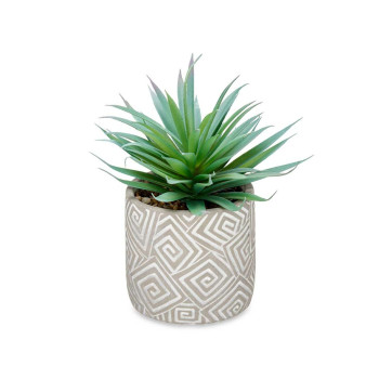Dekoratyvinis augalas Ibergarden QY-H012 Medžio Plastmasinis Cementas Sultingi 17 x 21 x 17 cm (8 vnt.),,,