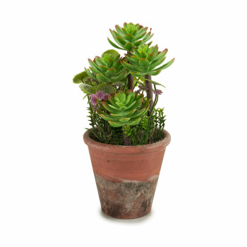Dekoratyvinis augalas Ibergarden XD16-849 Plastmasinis Sultingi 16 x 23 x 16 cm (12 vnt.),,,