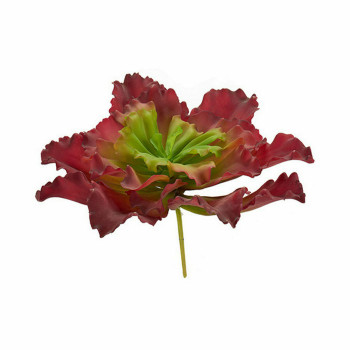 Декоративное растение Ibergarden YD180208 Пластик Листья Большой 31 x 24 x 31 cm Двухцветный (6 штук)