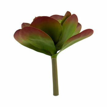 Dekoratyvinis augalas Ibergarden YD0001 Plastmasinis Paklodės Didelis 27 x 29 x 27 cm Dvispalviais (6 vnt.),,,