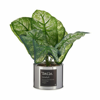 Dekoratyvinis augalas Ibergarden HY2-90 Metalinis Plastmasinis Caladium 26 x 26 x 26 cm (6 vnt.),,,