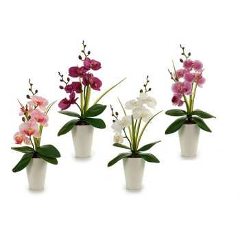 Dekoratyvinė gėlė Ibergarden A18124-33-WH Orchidėja 14 x 35 x 8 cm (12 vnt.)