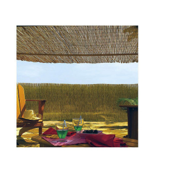 Garden Fence EDM 75816 Brown Bamboo 1 x 5 m,,,