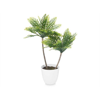 Dekoratyvinis augalas Ibergarden XD19-1327 Plastmasinis Palmė 36 x 55,5 x 24 cm (6 vnt.),,,
