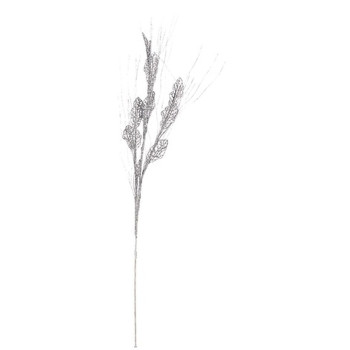 BB_S3627748