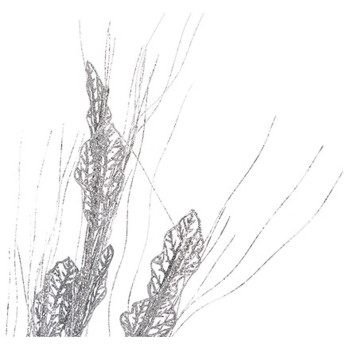 BB_S3627748