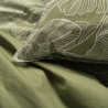 BB_S7188509