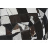 BB_S3052644