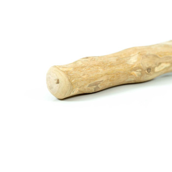 Koera mänguasi Gloria Stick XS Nätske Puit (1 Ühikut),,,