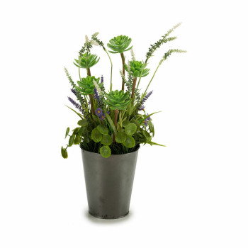 Dekoratyvinis augalas Ibergarden XD16-819 Kamštis Plastmasinis Gėlių laukas 20 x 41 x 20 cm (6 vnt.),,,