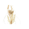 BB_S3029213