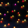 BB_S1905797