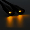 BB_S1905851