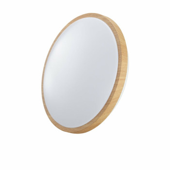 LED Flush montavimo lubų šviesos sienos šviesos EDM 32539 F 18 W 1820 Lm Apskritas Paviršius (4000 K),,,