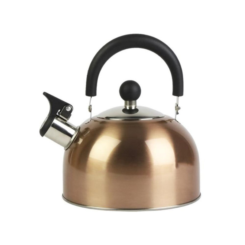 KETTLE  2L, NER.TĒR. EMALJĒTI gold INI RŪSGANS, Prymus-AGD