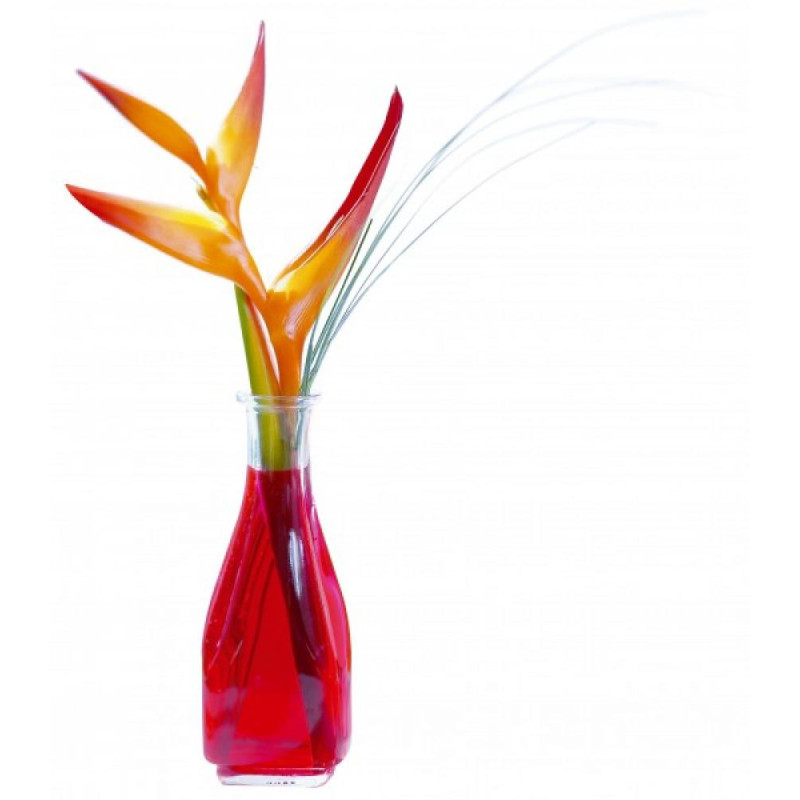 CARRE CARAFE 0.5 L KVADRĀTVEIDA, Partner