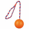 Dog toy Trixie Natural rubber d 7 × 30 CM,,,