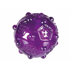 Koera mänguasi Trixie...