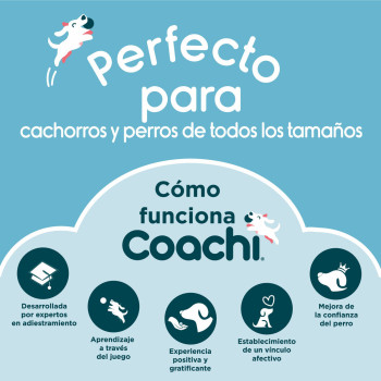 Švilpukas Coachi,,,