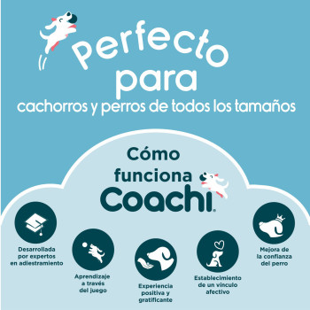 Несессер Coachi Train & Treat Синий