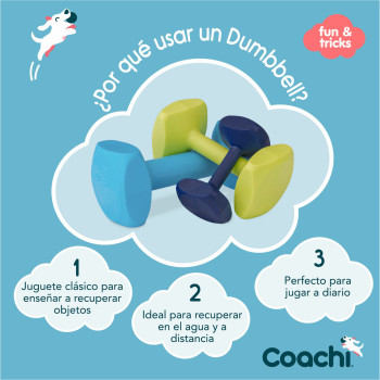 Hantele Coachi TRAINING DUMBBELL Zils,,,