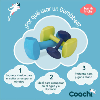 Hantele Coachi TRAINING DUMBBELL 12 Plastmasa,,,