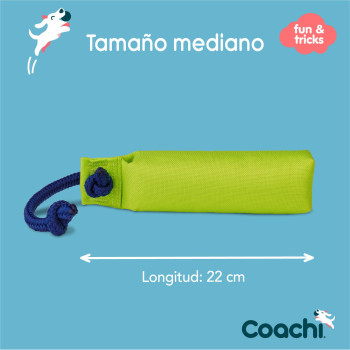 Training toy Coachi,,,