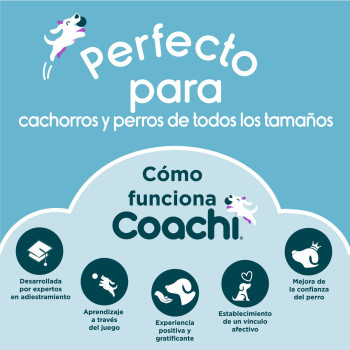 Training toy Coachi CHASE & TREAT Zils,,,