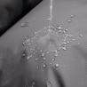 BB_S6102639