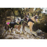 Dog Harness Julius K9 IDC L/XL 2,,,