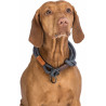 Dog Training Collars Trixie BE NORDIC Brown Dark grey 45 cm,,,