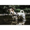 Dog Harness Julius K9 Power XL 3,,,