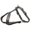 Dog Harness Trixie Premium Black XXS/XS,,,