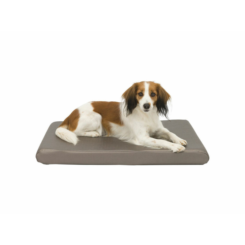 Dog Bed Trixie Sansa Taupe Metallic 65×40 cm,,,