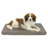 Dog Bed Trixie Sansa Taupe Metallic 65×40 cm,,,