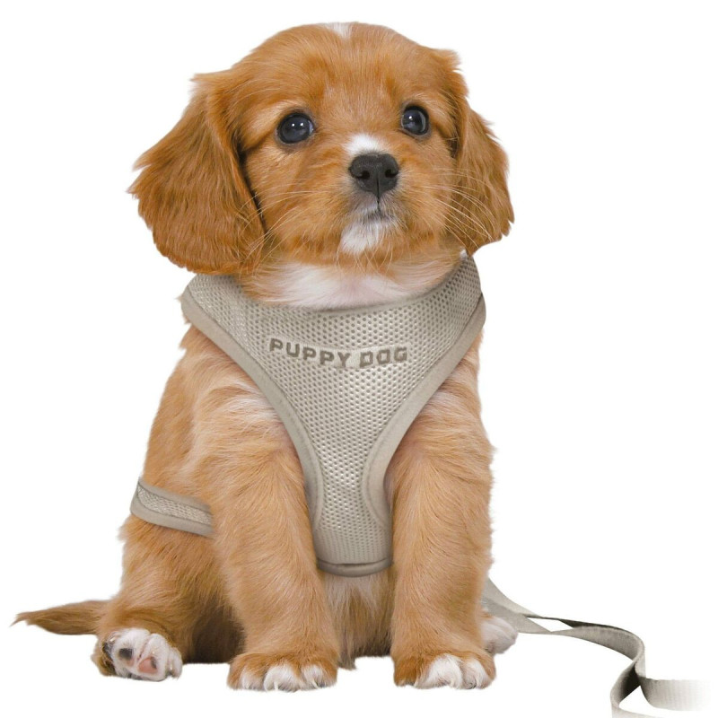 Dog Harness Trixie Junior Light grey M/L,,,