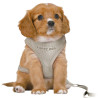 Dog Harness Trixie Junior Light grey M/L,,,
