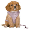 Dog Harness Trixie Junior Lilac M/L,,,
